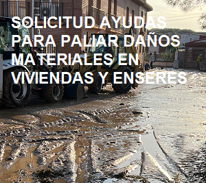 DAÑOS